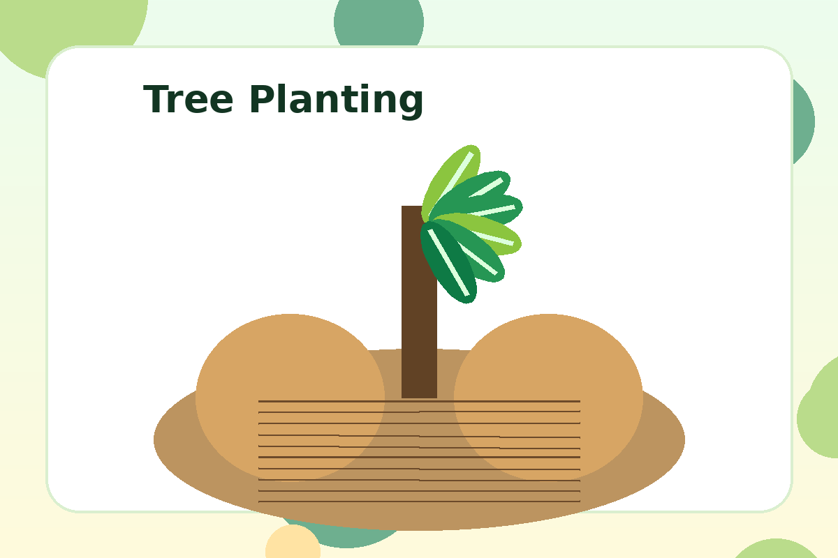 Tree planting project